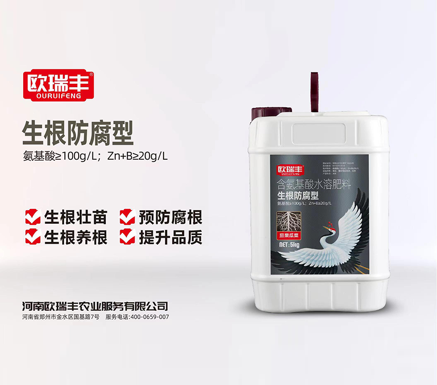 生根防腐型 5kg.png