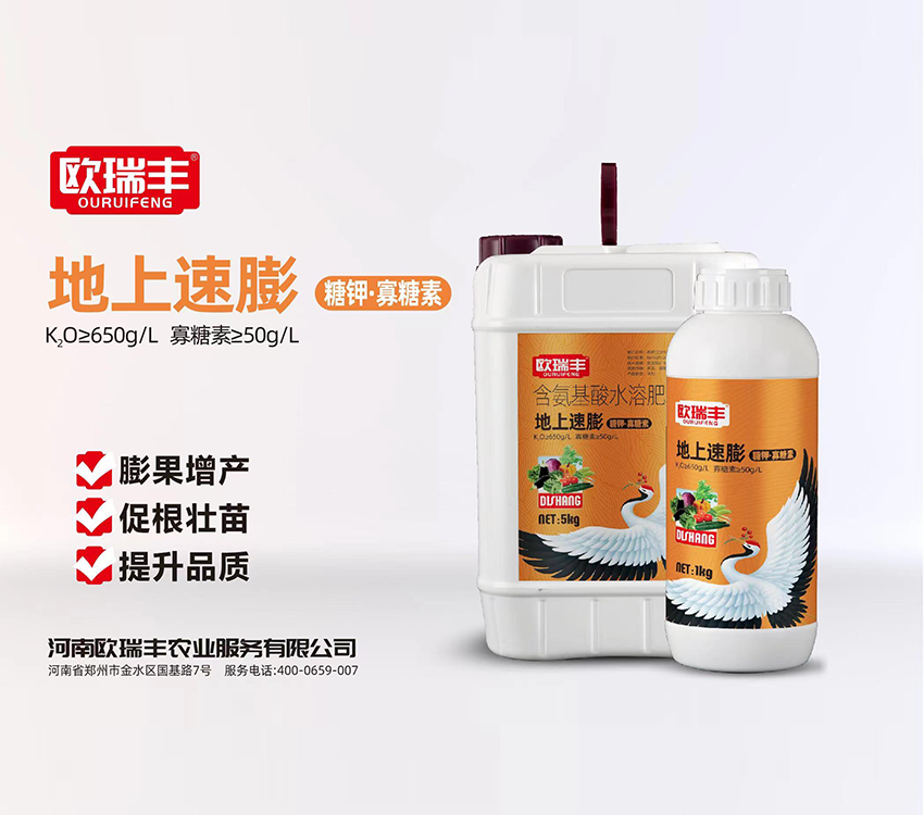 地上速膨 5kg.png