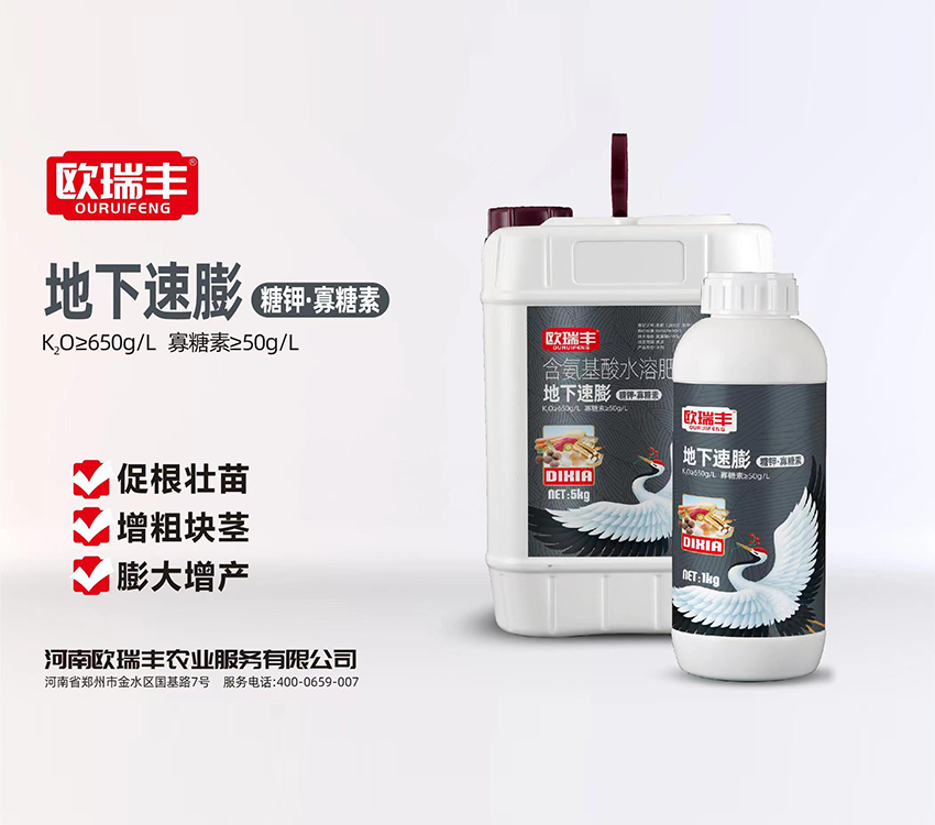 地下速膨 5kg.png